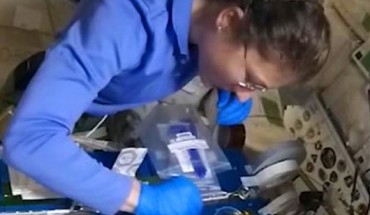 Astronaut Christina Koch plating Saccharomyces cerevisiae following transformation. Image credit: NASA.