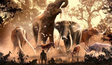 Australopithecus anamensis