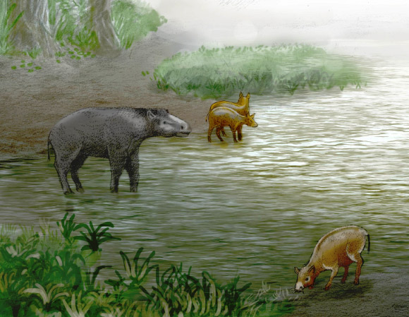 Palaeotheriid mammal Leptolophus cuestai (left) and equoid perissodactyl Pachynolophus zambranen (center and right). Image credit: Ulises Martínez Cabrera.