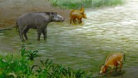 Palaeotheriid mammal Leptolophus cuestai (left) and equoid perissodactyl Pachynolophus zambranen (center and right). Image credit: Ulises Martínez Cabrera.