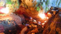 Gelabert et al. retrieved human and mammalian nuclear and mitochondrial environmental shotgun genomes from a 25,000-year-old sediment sample from Satsurblia Cave in Georgia. Image credit: Anna Belfer-Cohen.