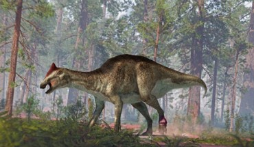 Bonapartesaurus rionegrensis. Image credit: José Antonio Peñas, SINC.