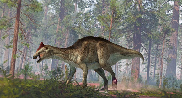 Bonapartesaurus rionegrensis. Image credit: José Antonio Peñas, SINC.