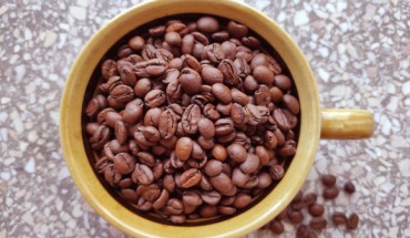 Pham et al. examined whether habitual coffee consumption is associated with differences in brain volumes or the odds of dementia or stroke. Image credit: Sci-News.com.