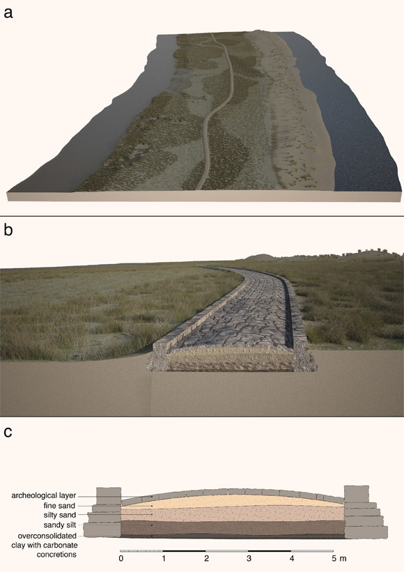 Reconstruction of the Treporti Channel paleobeach ridge and the Treporti Channel road (TC road) in Roman times: (a) from an aerial perspective, with the Venice lagoon to the left and the Adriatic Sea to the right; the position of the TC road corresponds exactly to the position of the archaeological structures mapped, whereas the extension of the TC paleobeach ridge is only hypothetical since the area has been radically modified over the centuries; (b) a zoom-in view and (c) section of the TC road based on the stratigraphy of the cores extracted under the basoli. Image credit: Madricardo et al., doi: 10.1038/s41598-021-92939-w.