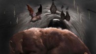 Desmodus draculae in a burrow of a giant sloth. Image credit: Daniel Boh / Museo de Ciencias Naturales de Miramar.