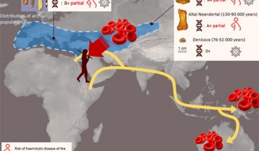 Condemi et al. analyzed the blood types of Neanderthals and Denisovans by looking at their DNA. Image credit: CNRS.