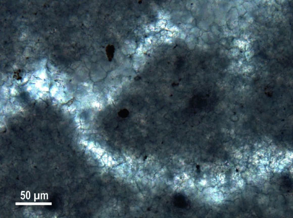 The 890-million-year-old tube-shaped structures occluded by clear blocky calcite enclosed by cloudy calcite groundmass of slightly smaller crystals. Image credit: E.C. Turner, doi: 10.1038/s41586-021-03773-z.