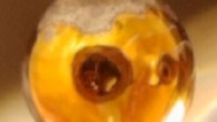 A pure NaK drop exposed to water vapor in vacuum. Image credit: Mason et al., doi: 10.1038/s41586-021-03646-5.