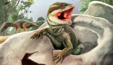 Life reconstruction of Taytalura alcoberi. Image credit: Jorge Blanco.