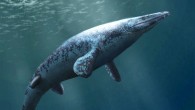 A life reconstruction of the plioplatecarpine mosasaur Angolasaurus bocagei, alongside the turtle Angolachelys mbaxi. Image credit: Henry Sharpe / CC BY-SA 4.0.