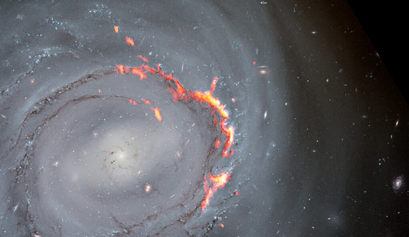 Zoomed in view of an ALMA (red/orange) and Hubble (optical) composite of NGC 4921; it highlights filament structures resulting from the effects of ram-pressure stripping. Image credit: ALMA / ESO / NAOJ / NRAO / S. Dagnello, NRAO / NASA / ESA / Hubble / K. Cook, LLNL / L. Shatz.