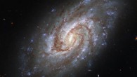 This Hubble image shows IC 1954, a spiral galaxy some 45 million light-years away in the constellation of Horologium. Image credit: NASA / ESA / Hubble / J. Lee / PHANGS-HST Team.