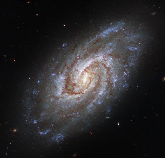 This Hubble image shows IC 1954, a spiral galaxy some 45 million light-years away in the constellation of Horologium. Image credit: NASA / ESA / Hubble / J. Lee / PHANGS-HST Team.
