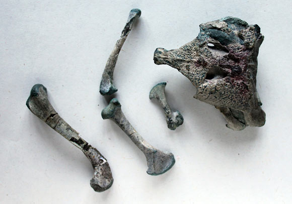 The fossilized remains of Burkesuchus mallingrandensis. Image credit: Novas et al., doi: 10.1038/s41598-021-93994-z.