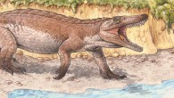 Burkesuchus mallingrandensis and a group of Chilesaurus diegosuarezi. Image credit: Gabriel L. Lio / de Anatomía Comparada y Evolución de los Vertebrados (LACEV), Museo Argentino de Ciencias Naturales ‘Bernardino Rivadavia.’