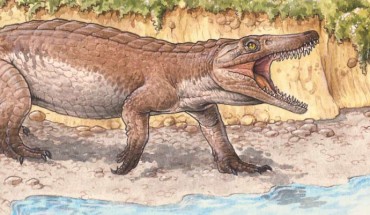 Burkesuchus mallingrandensis and a group of Chilesaurus diegosuarezi. Image credit: Gabriel L. Lio / de Anatomía Comparada y Evolución de los Vertebrados (LACEV), Museo Argentino de Ciencias Naturales ‘Bernardino Rivadavia.’