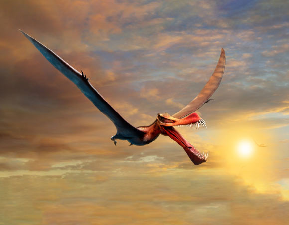 Life reconstruction of Thapunngaka shawi. Image credit: Richards et al., doi: 10.1080/02724634.2021.1946068.