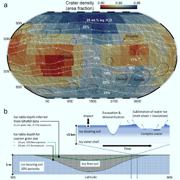 Impact processes as a partial control on the global distribution of hydrogen on Ceres: (a) a map of the density of large craters is compared to the global distribution of hydrogen measured by the Gamma Ray and Neutron Detector (GRaND) (white contours); a density of one indicates craters fully cover the surface within GRaND’s field of view; for context, the map is superimposed on shaded relief and excluded basins with diameters greater than 100 km (62 miles) are outlined (black); (b) a possible scenario for enrichment of surficial ice by large impacts is illustrated; a portion of the ice excavated from the crust survives during crater formation and cooling of the melt sheet and ejecta blanket, enriching the regolith in water ice; the surviving ice retreats in response to solar insolation. Image credit: Prettyman et al., doi: 10.1029/2021GL094223.