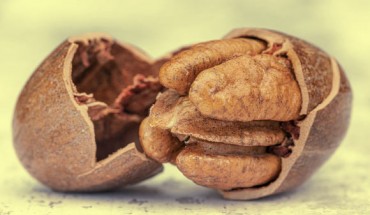 Guarneiri et al. saw an average drop of 5% in total cholesterol and between 6% and 9% in LDL among participants who consumed pecans. Image credit: Jackie Matthews.