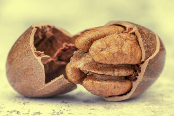 Guarneiri et al. saw an average drop of 5% in total cholesterol and between 6% and 9% in LDL among participants who consumed pecans. Image credit: Jackie Matthews.