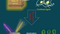 The new phosphorescent materials could potentially be used in a wide number of applications, from medical imaging and optical sensing to ‘glow in the dark’ dyes and paints. Image credit: Yuan et al., doi: 10.1016/j.xcrp.2021.100542.