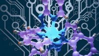 Profuse dendritic-synaptic interconnections among neurons in the neocortex embed intricate logic structures enabling sophisticated decision-making that vastly outperforms any artificial electronic analogues. The physical complexity is far beyond existing circuit fabrication technologies: moreover, the network in a brain is dynamically reconfigurable, which provides flexibility and adaptability to changing environments. In contrast, state-of-the-art semiconductor logic circuits are based on threshold switches that are hard-wired to perform predefined logic functions. To advance the performance of logic circuits, Goswami et al. re-imagined fundamental electronic circuit elements by expressing complex logic in nanometer-scale material properties. Image credit: National University of Singapore.