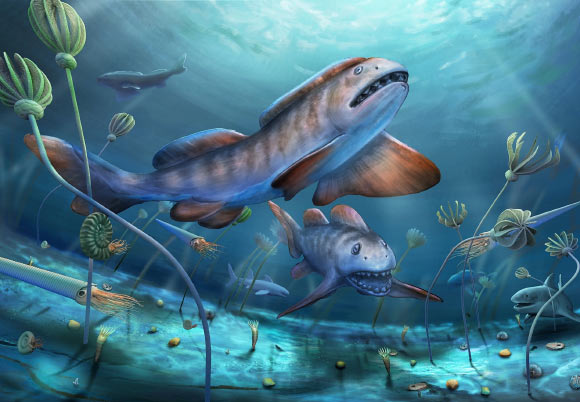 Life restoration of Petalodus sharks. Image credit: Dinghua Yang.