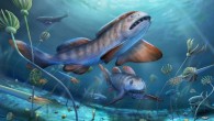 Life restoration of Petalodus sharks. Image credit: Dinghua Yang.