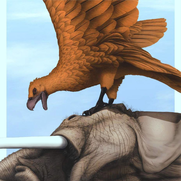Teratornis sitting on the extinct proboscidean Notiomastodon. Image credit: Universidad Maimonides.