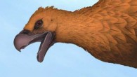 Teratornis. Image credit: Universidad Maimonides.
