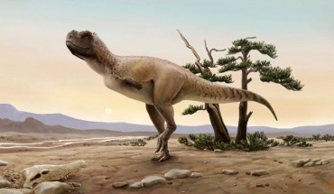Life reconstruction of Kurupi itaata. Image credit: Júlia d’Oliveira, doi: 10.1016/j.jsames.2021.103551.