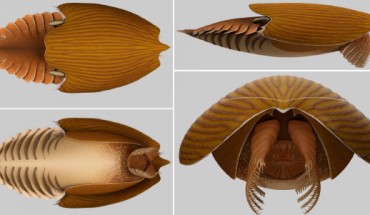Reconstruction of Titanokorys gainesi. Image credit: Caron & Moysiuk, doi: 10.1098/rsos.210664.