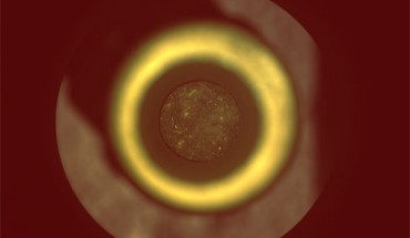 The sample of Mars rock is seen inside a titanium container tube in this image taken by the Sampling and Caching System Camera (CacheCam) onboard NASA’s Perseverance rover. Image credit: NASA / JPL-Caltech.
