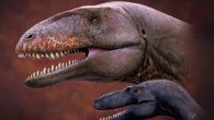 Life reconstruction of Ulughbegsaurus uzbekistanensis and a smaller tyrannosauroid. Image credit: Julius T. Csotonyi.