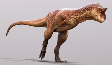 An artist’s reconstruction of Carnotaurus sastrei based on the scaly skin described by Hendrickx & Bell. Image credit: Jake Baardse.