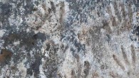 Parietal art panel at Quesang, Tibet. Image credit: Zhang et al., doi: 10.1016/j.scib.2021.09.001.
