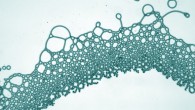 An image of a typical non-equilibrium state comprising active filaments, random filament networks and ordered 2D fluidic lattices, and active and self-propulsive electrohydrodynamically sculpted droplets and active emulsions. Image credit: Raju et al., doi: 10.1126/sciadv.abh1642.