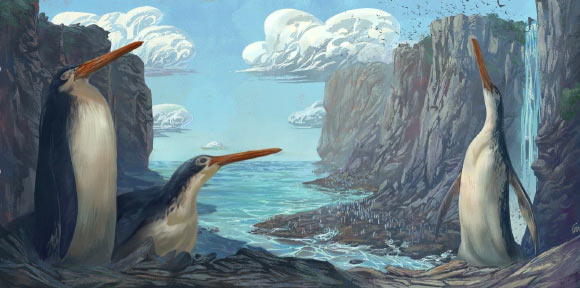 Life reconstruction of giant penguins. Image credit: Simone Giovanardi.