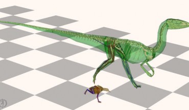 Computer simulations of running locomotion in a modern tinamou bird (brown) and the extinct theropod dinosaur Coelophysis (green). Gray tiles - 50 cm. Image credit: Bishop et al., doi: 10.1126/sciadv.abi7348.