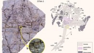 Photograph and line drawing of the Caudipteryx specimen. Image credit: Zheng et al., doi: 10.1038/s42003-021-02627-8.