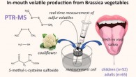 Frank et al. investigated differences in sulfur volatile production between saliva from children and adults using a proton transfer reaction mass spectrometry method using raw cauliflower powder. Image credit: Frank et al., doi: 10.1021/acs.jafc.1c03889.