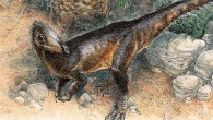 Life reconstruction of Pendraig milnerae among the fissures of Pant-y-ffynnon and three individuals of the rhynchocephalian lepidosaur Clevosaurus cambrica during the Late Triassic epoch. Image credit: James Robbins.