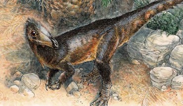 Life reconstruction of Pendraig milnerae among the fissures of Pant-y-ffynnon and three individuals of the rhynchocephalian lepidosaur Clevosaurus cambrica during the Late Triassic epoch. Image credit: James Robbins.