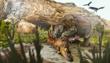 Reconstruction of the Darwin’s ground sloth (Mylodon darwinii) feeding on the carcass of the hoofed native herbivore Macrauchenia. These extinct mammals roamed the Pleistocene landscape of Patagonia and other parts of high and mid-latitude South America, like this reconstructed scene from about 12,000 years ago in front of the famous Mylodon Cave (Cueva del Milodón) in southern Chile. Image credit: Jorge Blanco.