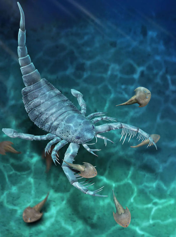 Life reconstruction of Terropterus xiushanensis. Image credit: Dinghua Yang.