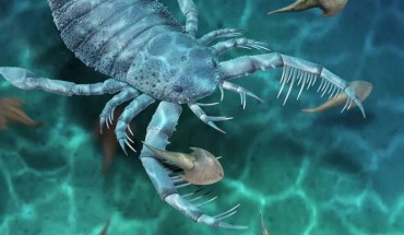 Life reconstruction of Terropterus xiushanensis. Image credit: Dinghua Yang.