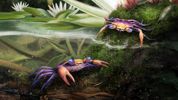 Artistic reconstruction of Cretapsara athanata. Image credit: Franz Anthony / Javier Luque, Harvard University.