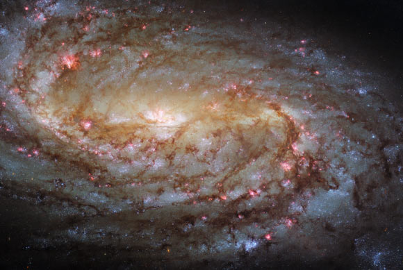 This Hubble image shows the barred spiral galaxy NGC 2903. The color image is a composite of separate exposures acquired by Hubble’s ACS and WFC3 instruments. Six filters were used to sample various wavelengths. The color results from assigning different hues to each monochromatic image associated with an individual filter. Image credit: NASA / ESA / Hubble / L. Ho / J. Lee / PHANGS-HST Team.