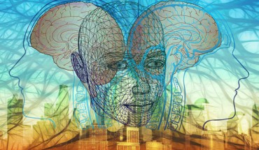 DeSilva et al. suggest that patterns of human brain evolution were influenced by collective intelligence, a convergent characteristic of diverse group-living animals. Image credit: Gerd Altmann.